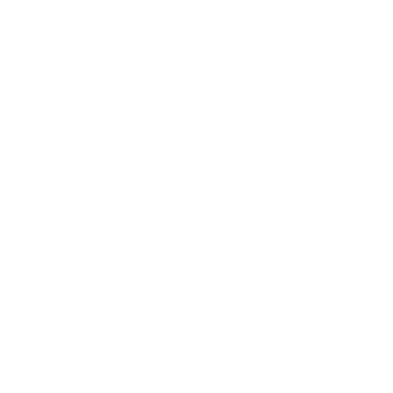 Professional commercial detailing service